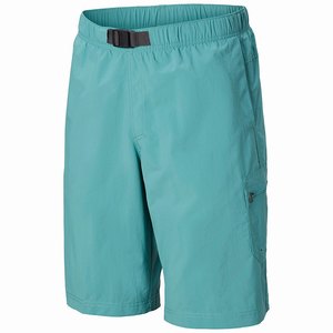 Columbia Palmerston Peak™ Vatten Short Herr Blå (XWRDL1487)